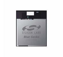Image BGM13P22F512GA-V2.