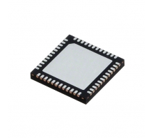 Image MAX17411GTM+T.