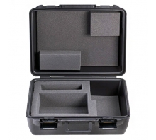 Image TDP43ME-CASE.