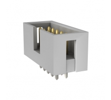 Image AWH 10G-0202-T.