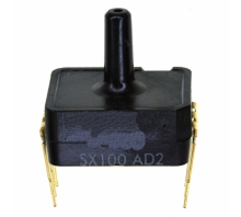 Image SX100AD2.