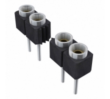 Image SS-121-T-2-N.