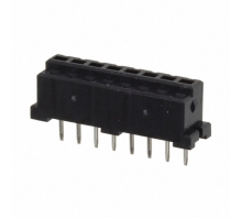 Image DF3-8S-2DSA(55).