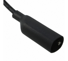 Image TLS2020.