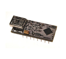 Image UMFT231XA-02.