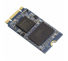 Image APM2T42P100064GAN-7TM.