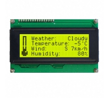 Image LCD2041-V.