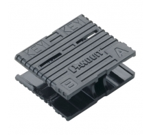 Image FSCCLIP-L.
