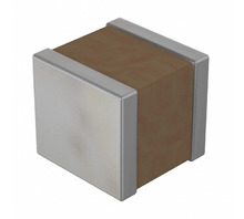 Image RF1111X822K500KX102T.