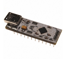 Image UMFT240XA-01.