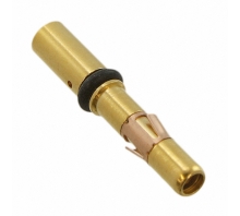 Image RC14M25K.