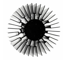 Image HS-5430-0537.