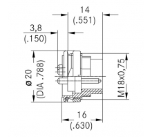 Image C091 31T005 100 2.