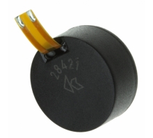 Image CM-28421-000.