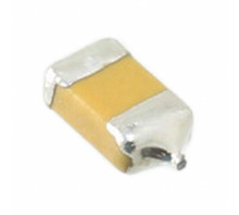 Image F950J107MSAAM1Q2.