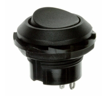 Image RR3130ABLKBLKES.