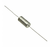 Image T110D107K020AT.