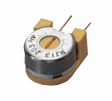 Image RJ13S103.