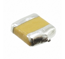 Image F950J107MTAAM1Q.