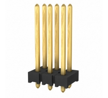 Image MTMM-103-07-G-D-360.