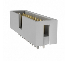 Image AWHW 20G-0202-T.