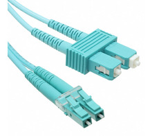 Image SCLC-3DTP010.