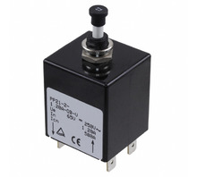 Image PP21-2-1.20A-OB-V.