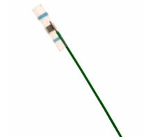 Image CWT-3807-W2.