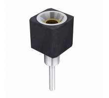 Image SS-101-T-2.