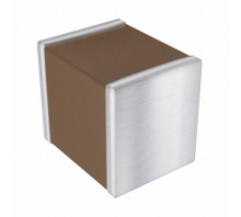 Image LD10ZC106KAB2A.