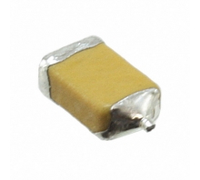 Image F950J107MSAAQ2.