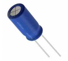Image UBW1A102MPD1TD.