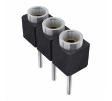 Image SS-103-T-2-N.