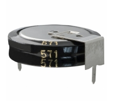 Image EEC-S5R5H155.