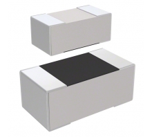 Image RC1005F200CS.