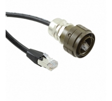 Image C-RJFTV5E1706MG10.