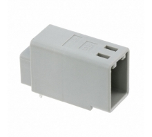 Image GT13-1P-DS(71).