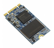 Image APM2T42P100016GAN-8TM.