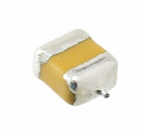 Image F951A107MBAAM1Q2.