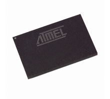 Image AT91F40416-25CC.