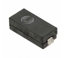 Image FP1505R1-R40-R.