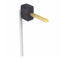 Image PZC01SBEN.