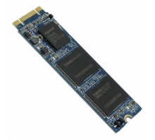 Image APM2T60P200032GAN-8TM.