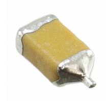 Image F950G107KAAAQ2.