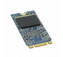 Image APM2T42P100128GAN-1TM.