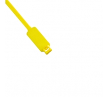 Image PLM2S-D4.
