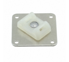 Image ASMS-A-X.