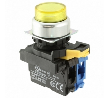 Image A22NL-RPM-TYA-G100-YC.