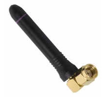 Image ANT-2.4-CW-RCS.