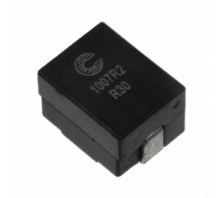 Image FP1007R2-R30-R.